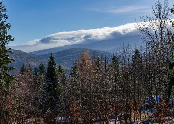 Apart-hotel Bukowy - Everslow