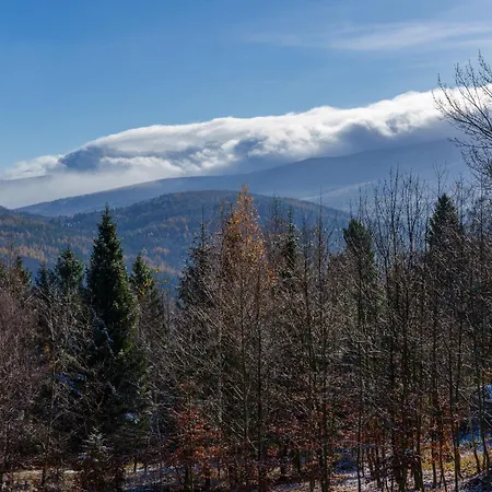 Hotel apartamentowy Bukowy - Everslow